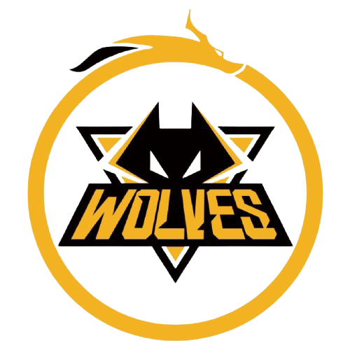 关键战役 关键战役